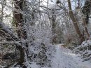 Bois de Penchard